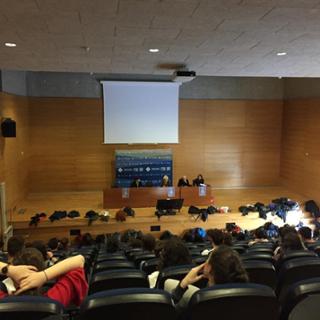 ol_castellana_palma_4.jpg