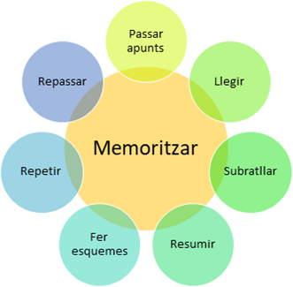 Pautes per seguir durant l’estudi