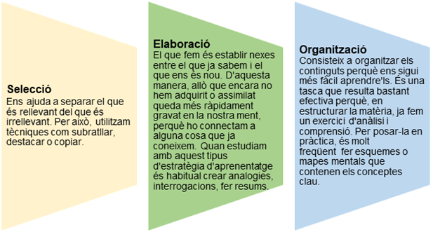 Estratègies d'aprenentatge