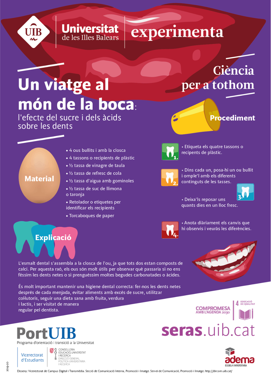 Un viatge al món de la boca: l'efecte del sucre i dels àcids sobre les dents