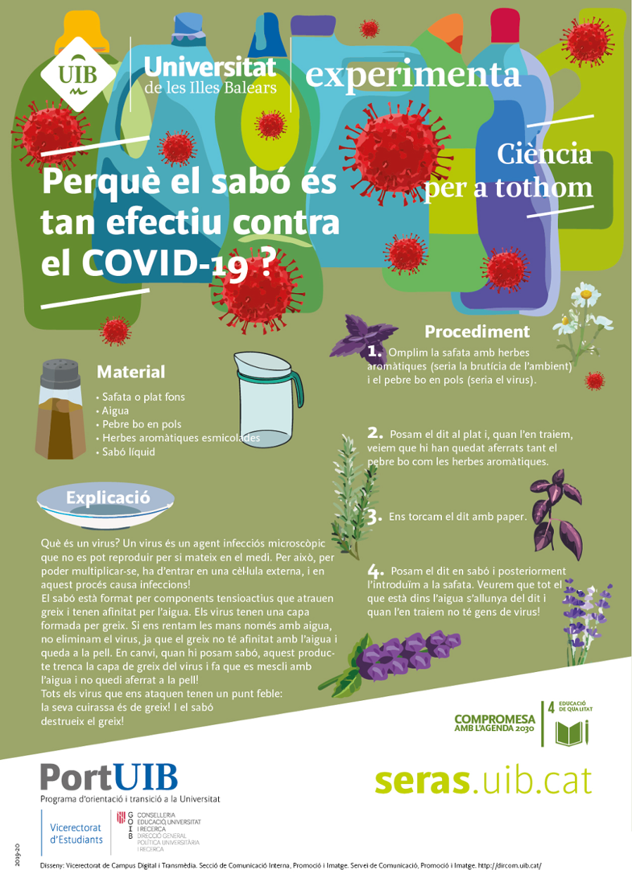 Perquè el sabó és tan efectiu contra el COVID-2019?