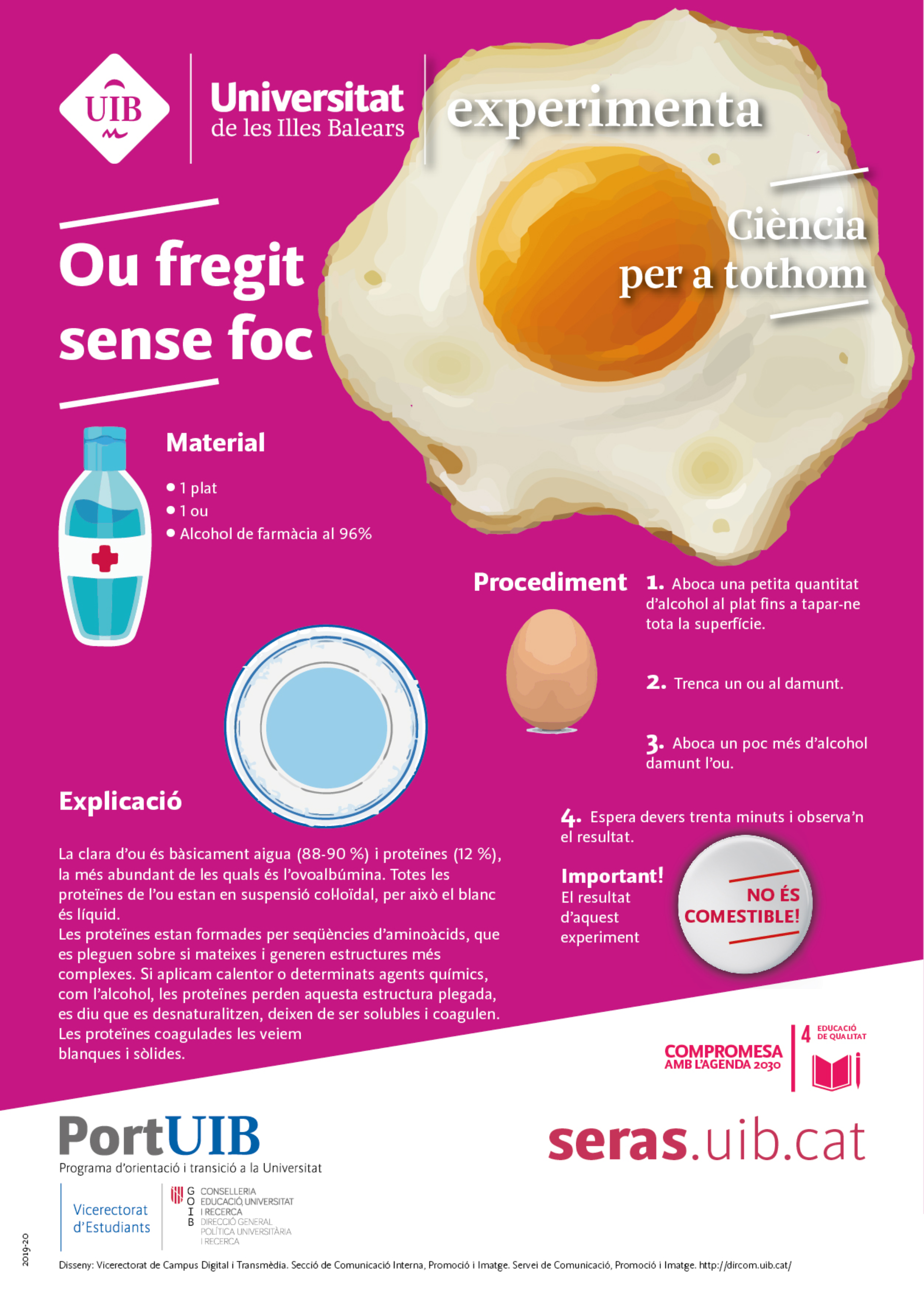 Ou fregit sense foc