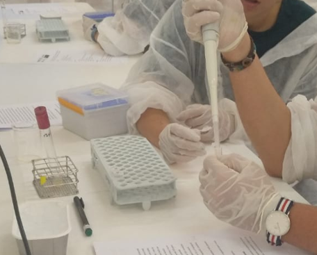 Grau de Bioquímica. «Biologia molecular: electroforesi d'ADN plasmídic»